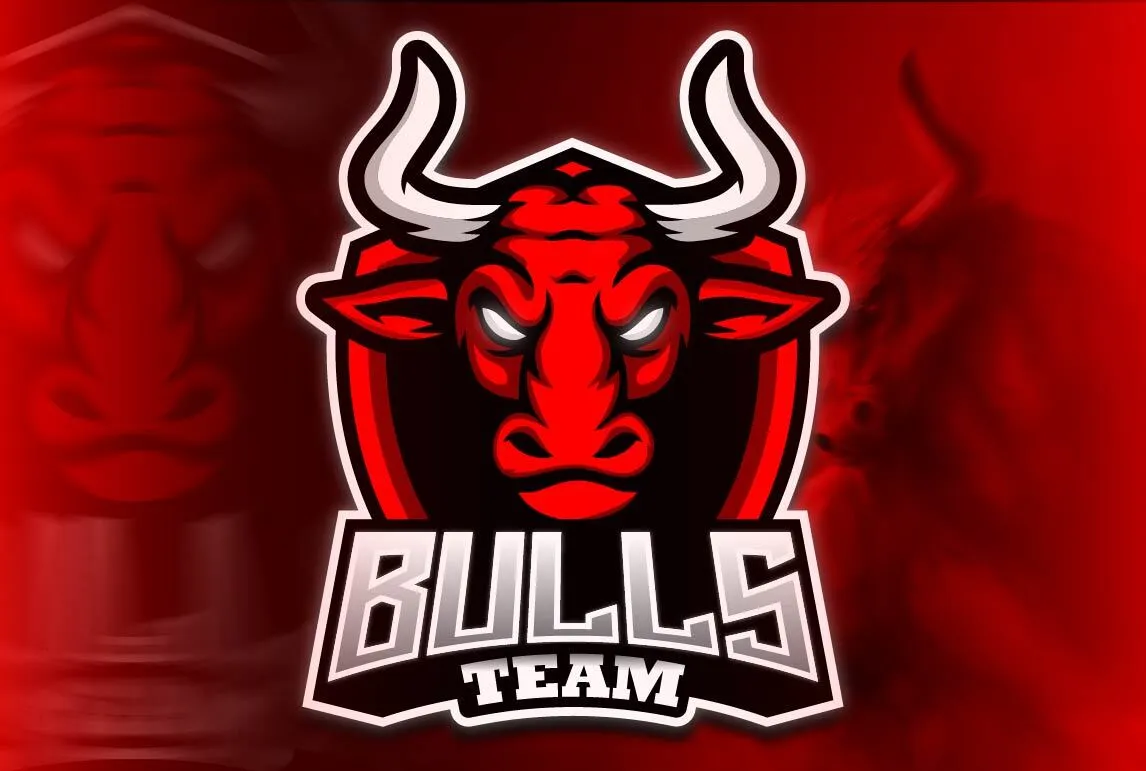 Bulls Team